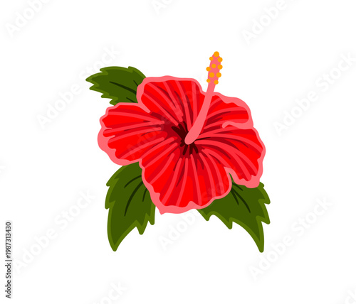 Colorful tropical hibiscus vector flower. Floral illustration decal, decor, clipart, poster, sticker, template. Flower with green leaves 
