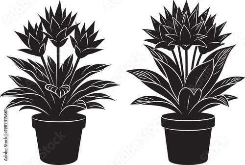 Two black silhouette potted plants with spiky leaves and flowers displayed in pots against a white background suggesting home decor and flora potted plant indoor plant life silhouette