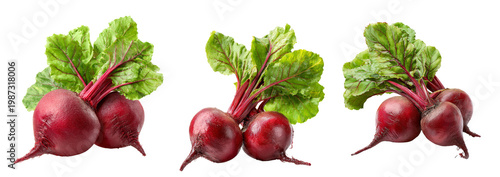 Fresh red beetroots with green leaves isolated on transparent background for food design elements.