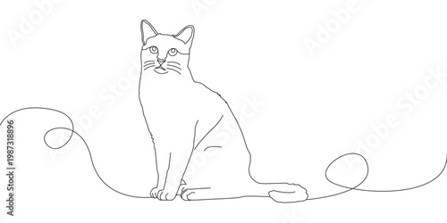 Cute domestic cat sitting on clean background, soft fur and calm expression, adorable pet animal illustration, minimal modern style, realistic feline portrait, cozy home companion concept, fluffy kitt