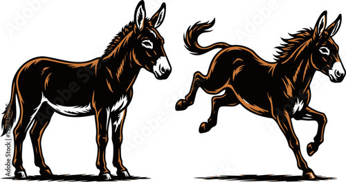 Two Donkey Styles Silhouette Bold Orange Vector