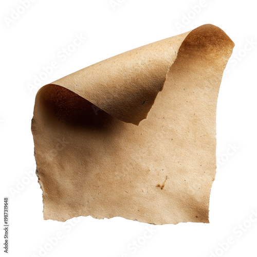 Curled brown paper texture sheet with torn edges on transparent background material.