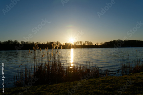 Schweriner See sunset illuminating reeds during golden hour