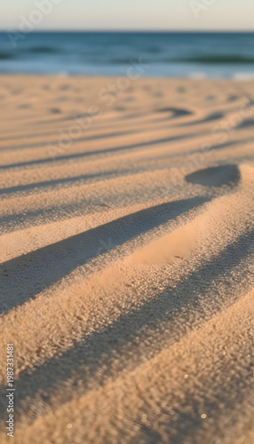 Sand Beach Texture