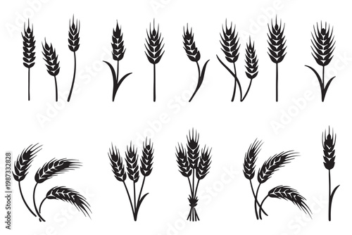 Wheat Ears Silhouette Set, A collection of seven black vector icons depicting various styles of wheat and rye ears with stalks