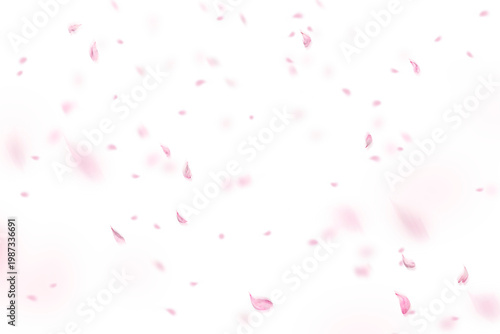 Obraz na plátně Floating pink white rose petal isolated on a transparent background png