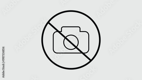 vector illustration of a pair of female shoes