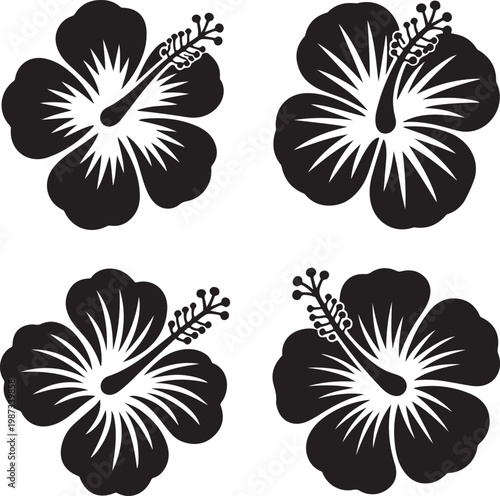 Four elegant hibiscus flowers depicted in black and white line art style
