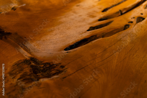 Wood surface texture with natural cracks and patterns close up