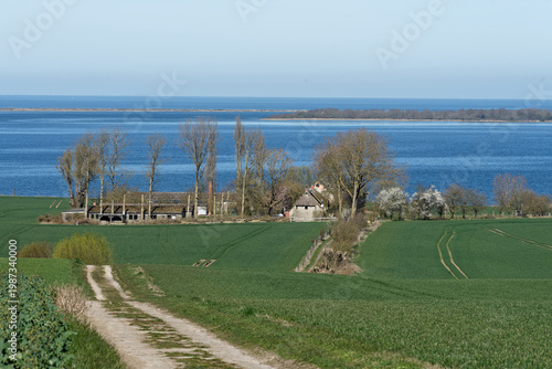 Am Salzhaff coast with green fields and distant Baltic Sea