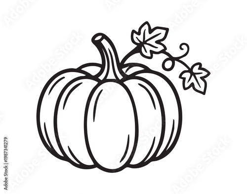 Round gourds with winding vine. Decorative harvest scene featuring chunky pumpkin and curling vine. Seasonal autumn display showcasing plump pumpkin with intricate vine details and rustic charm