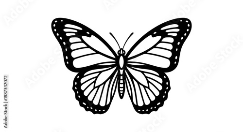 A detailed black and white outline drawing of a butterfly with intricate wing patterns, showcasing its delicate beauty.