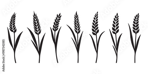 Wheat and rye ears, barley rice grains, beer logo elements, organic agriculture food, golden heraldic shapes, vector illustration isolated, natural farming symbols 