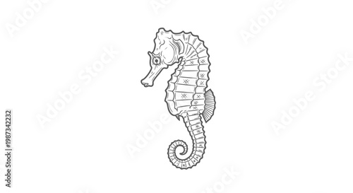 A detailed black and white line art illustration of a seahorse with intricate textures.