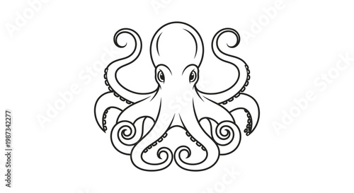 Detailed black and white line art drawing of an octopus with curled tentacles, symmetrical and stylized, on a plain white background.