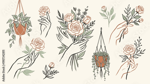 Bohemian hands gently holding delicate roses and hanging plants in macrame hangers, minimalist line art botanical illustration