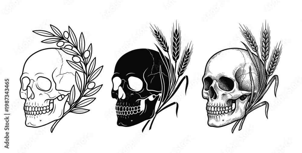 Fototapeta premium Detailed vector skull illustrations paired with natural elements like olive branches and wheat. Perfect for graphic design, logos, packaging, or vintage-themed projects.