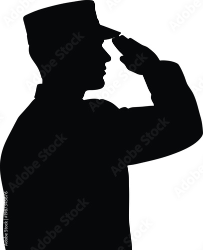 A soldier salutes in a show of respect and honor