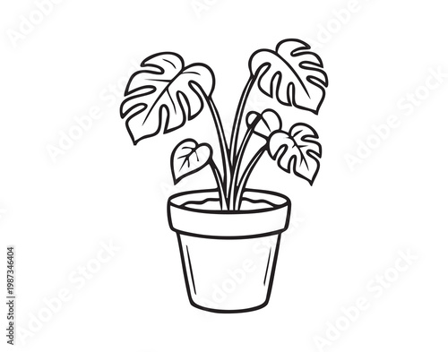 Contemporary houseplant illustration design. Minimalist line art of houseplant for interior decor. Elegant handdrawn depiction of monstera plant for modern home ornamentation and styling