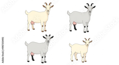 Dairy goat vector set with realistic farm animal characters in standing poses for livestock agriculture and milk production design