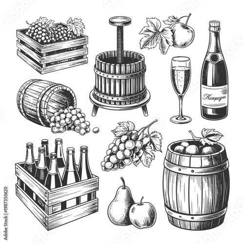 Vintage winemaking illustration featuring grapes barrels and champagne bottles