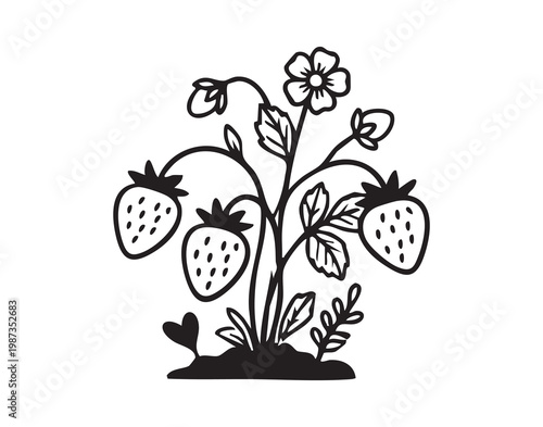 Lush garden strawberry harvest. Juicy ripe strawberries with blossoms and trailing stems in garden. Seasonal garden crop featuring flourishing strawberry plants with blossoms and clustered fruit