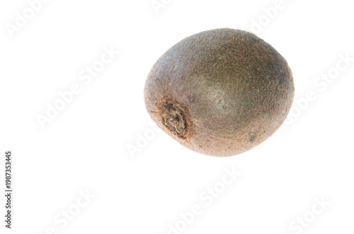 Fresh hairy kiwi on white background, peduncle insertion site visible