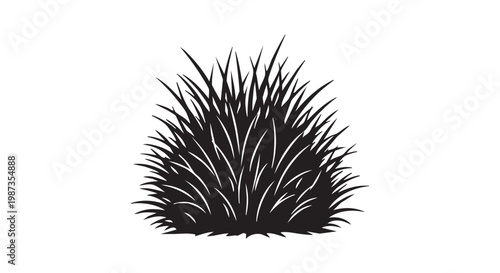 Silhouette of lush green grass clump, detailed blades forming a natural texture for outdoor scenes.