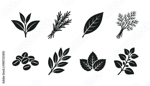 A collection of black silhouette vector icons featuring various natural ingredients: herbs, spices, leaves, and coffee beans. Ideal for food, organic, or healthy designs.