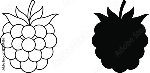 Raspberry and blackberry fruit line art with black silhouette icons isolated on white background for garden berry vector design elements.