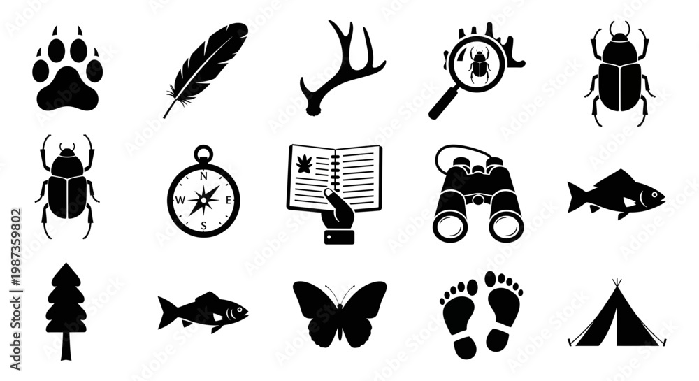Obraz premium Collection of black silhouette icons for outdoor adventure and nature exploration activities