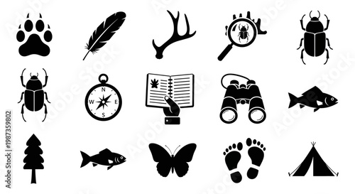 Collection of black silhouette icons for outdoor adventure and nature exploration activities
