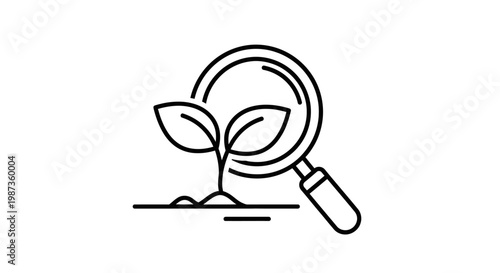 A magnifying glass examines a seedling.