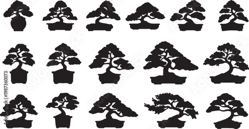 Bonsai Collection: A curated series of bonsai trees, meticulously pruned and shaped, showcasing the art of miniature landscaping and the harmony between nature and craft.