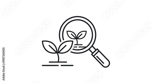 A magnifying glass examines a seedling.