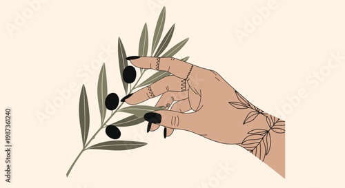 Elegant hand with black nail polish and delicate rings reaching to pick ripe black olives from a green leafy branch.