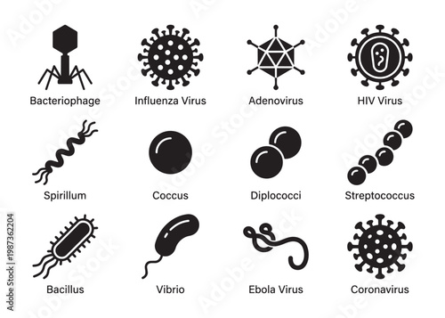 Different types of viruses and bacteria black icons set vector illustration.