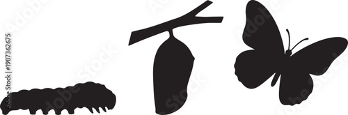Metamorphosis Caterpillar to Butterfly Lifecycle Black Silhouette Vector Illustration
