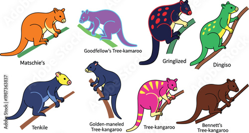 Colorful Tree-kangaroo Collection with Various Rare Marsupial Species Isolated on White