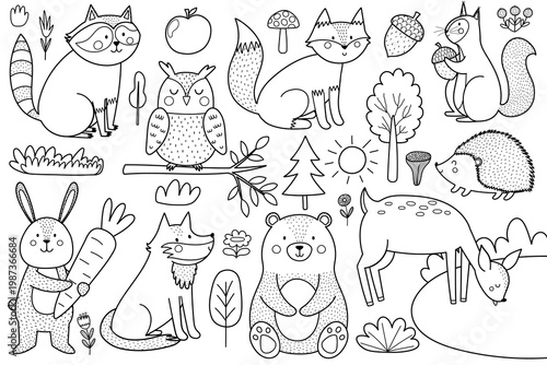 Black and white woodland animals collection in cartoon style. Cute forest characters in outline for baby and kids design. Great for coloring pages. Vector illustration