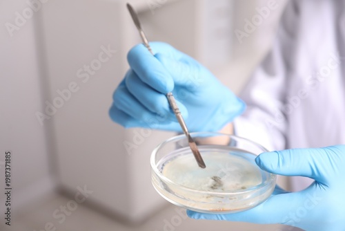 Konstfotografi Biochemistry