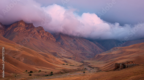 minimalist portrait of individual standing calmly by ocean symbolizing world tsunami awareness day