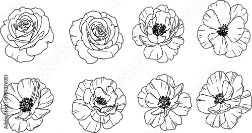 Nine vintage botanical illustrations of flowers with intricate details in black and white