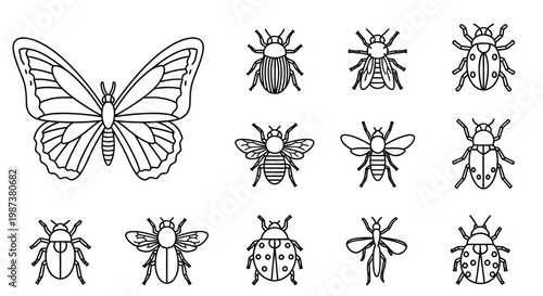 Diverse insect outline illustrations set. Minimalist vector icons featuring butterfly, beetles, and flying bugs for nature and wildlife design.