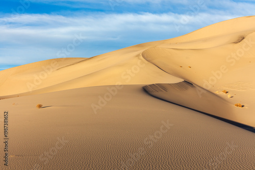 Eureka Gold
Eureka Dunes
Death Valley National Park
California
