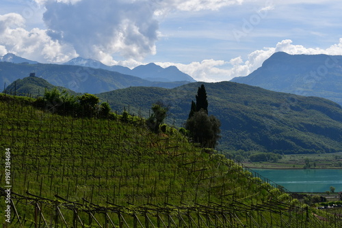 Schöne Landschaft am Kalterer See in Südtirol 