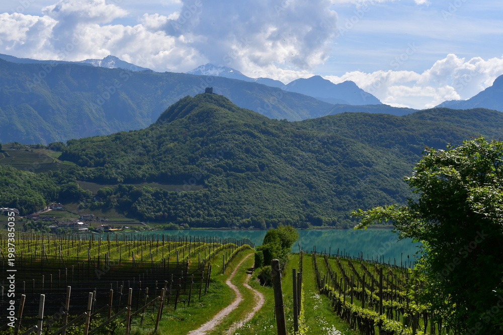 Obraz premium Schöne Landschaft am Kalterer See in Südtirol 