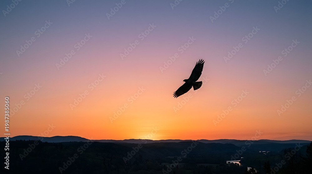 Fototapeta premium silhouette of a flying eagle at sunset isolated on transparent background
