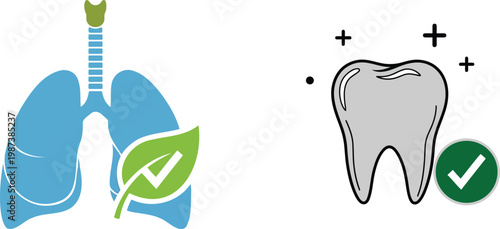 Vector illustration of healthy lungs and tooth with green checkmarks