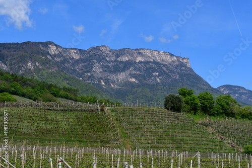 Schöne Landschaft bei Kaltern in Südtirol 